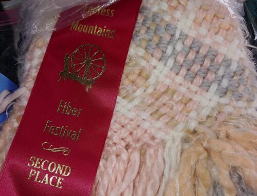 Holly Jacobs won for her weaving!