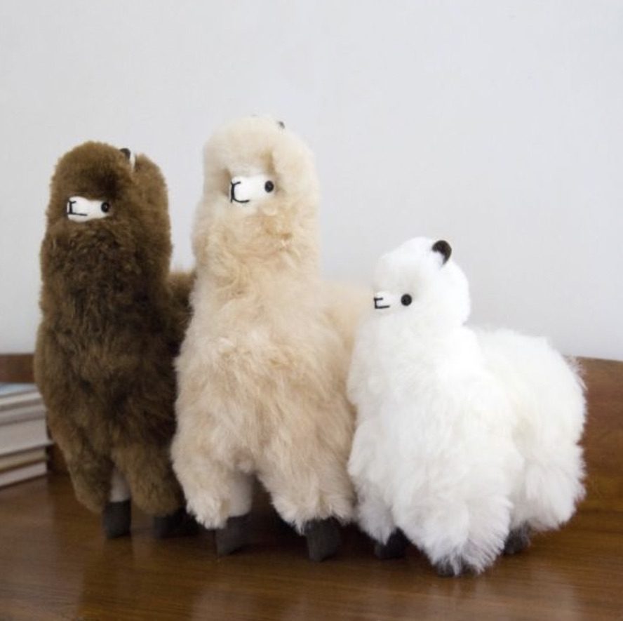 stuffed alpacas